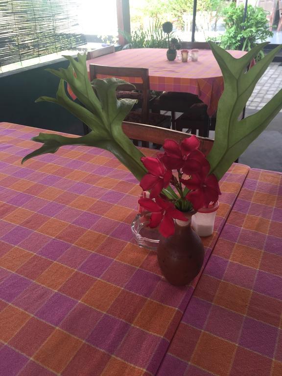 Bolonghes Homestay Negombo Ngoại thất bức ảnh
